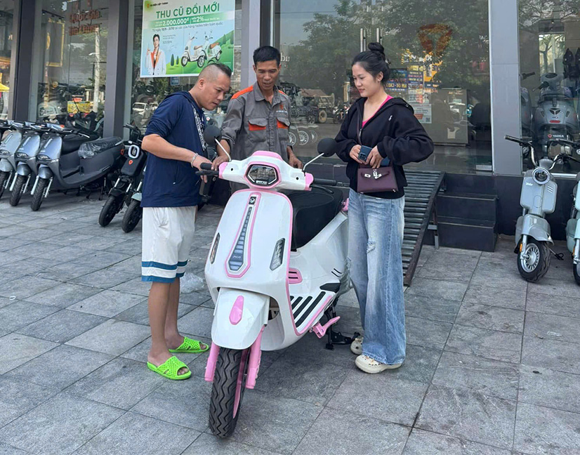 Kiểm tra, tư vấn trước khi giao xe